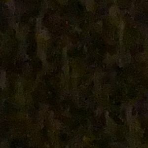 Meet your Posher, Mindy